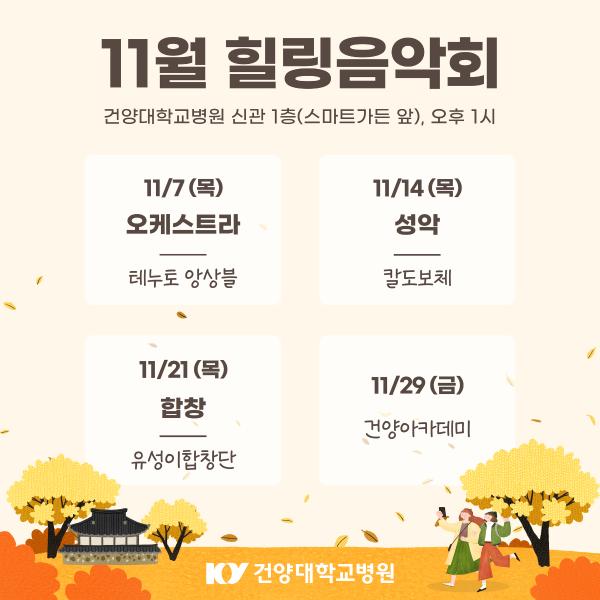 11월 힐링음악회 이미지